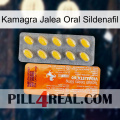 Kamagra Oral Jelly Sildenafil new05